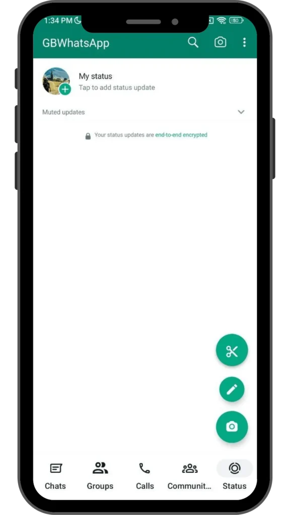 GB Whatsapp APK Customization Options